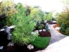 Show Garden 11